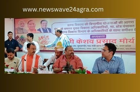 Graam Vikaas Sammalen, Block Chief, District Panchayat President, District Panchayat Member, BDC, Jila Panchayat Sadasya