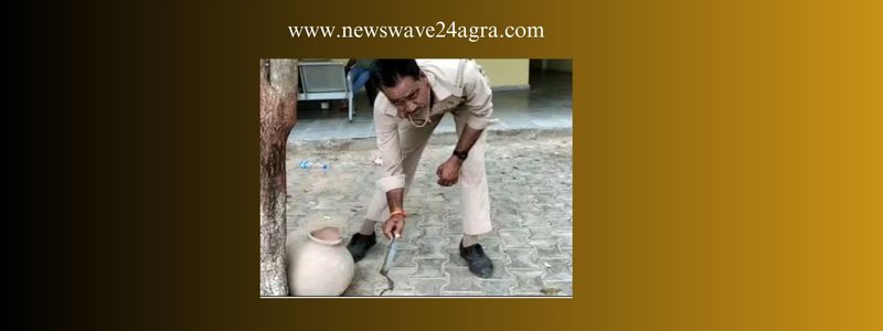  आगरा का ऐसा थाना जहां बिच्छू पकड़ने के लिए कॉन्स्टेबल की ड्यूटी, खौफजदा हैं पुलिसकर्मी