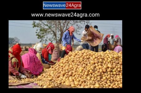 Potato Prices in Agra